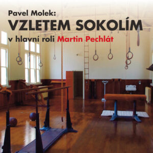 audiokniha-vzletem-sokolim-pavel-molek-jiri-homola